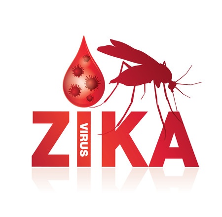 Foto:  Zika - die neue Seuche?