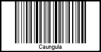 Der Voname Caungula als Barcode und QR-Code