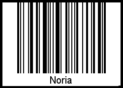 Der Voname Noria als Barcode und QR-Code