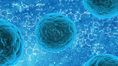 Bild von  Stammzellen -  Medizin der Zukunft?
