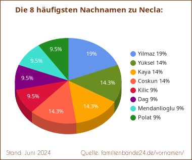 Necla: Die häufigsten Nachnamen als Tortendiagramm