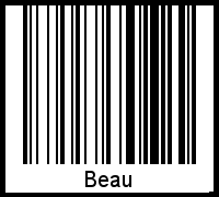 Barcode-Foto von Beau