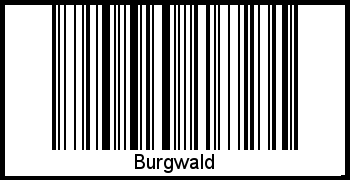 Der Voname Burgwald als Barcode und QR-Code