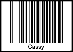 Interpretation von Cassy als Barcode