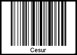 Barcode-Grafik von Cesur
