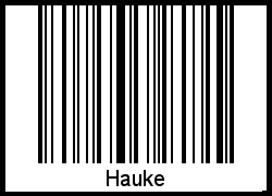 Interpretation von Hauke als Barcode