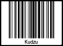 Barcode des Vornamen Kudzu