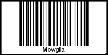 Der Voname Mowglia als Barcode und QR-Code