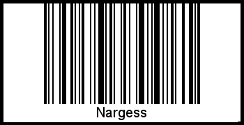 Interpretation von Nargess als Barcode