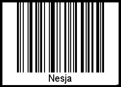 Der Voname Nesja als Barcode und QR-Code