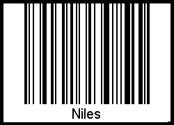 Der Voname Niles als Barcode und QR-Code