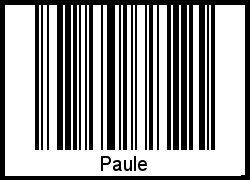 Paule als Barcode und QR-Code