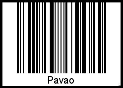 Interpretation von Pavao als Barcode