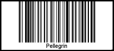 Der Voname Pellegrin als Barcode und QR-Code