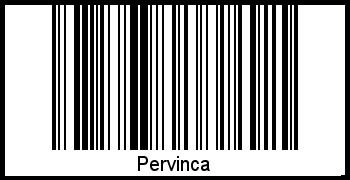 Interpretation von Pervinca als Barcode