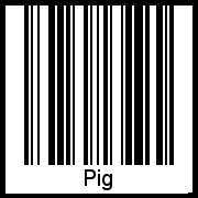 Der Voname Pig als Barcode und QR-Code