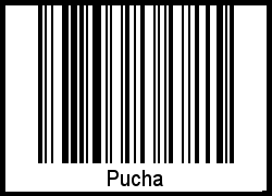Der Voname Pucha als Barcode und QR-Code