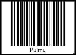 Barcode-Grafik von Pulmu