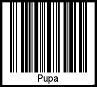 Pupa als Barcode und QR-Code