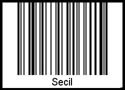 Secil als Barcode und QR-Code