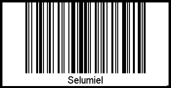 Interpretation von Selumiel als Barcode