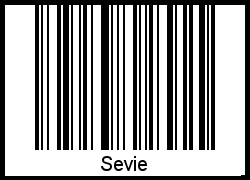 Sevie als Barcode und QR-Code
