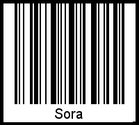 Der Voname Sora als Barcode und QR-Code