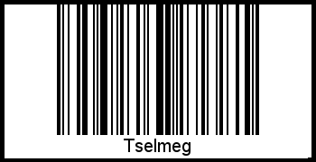 Barcode-Grafik von Tselmeg