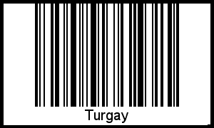 Turgay als Barcode und QR-Code