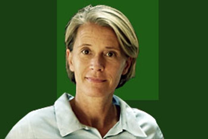 Illustration Cathrin Sinell