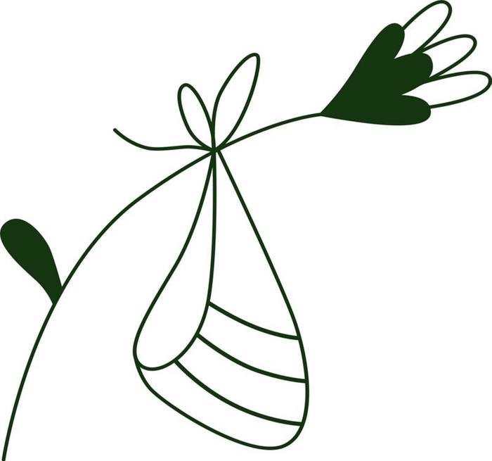 Illustration Leonie Trausch