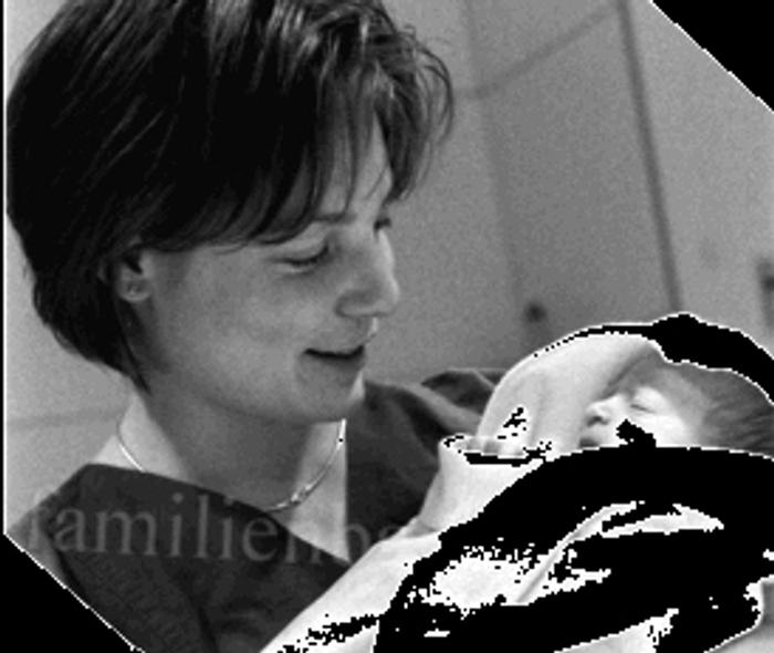 Illustration Ulrike Schleifer