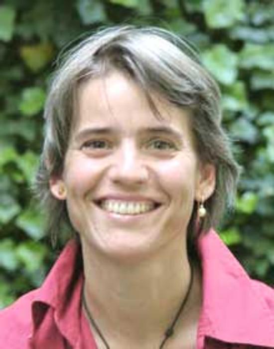 Illustration Stefanie Schenkewitz