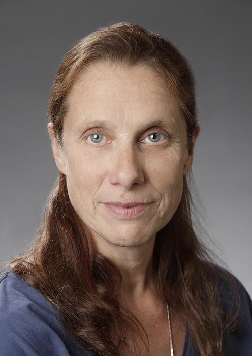 Illustration Gabriele Zimmermann