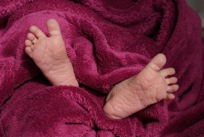 Illustration Sara Shlomoviz