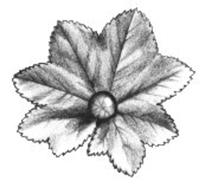 Illustration Claudia Klüver