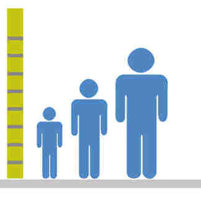 Vorschaubild zu Wie groß wird mein Kind