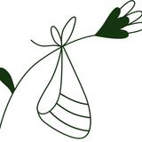 Hebamme Leonie Trausch