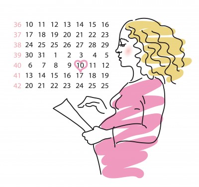 Bild:  Kalender für alle Schwangerschaftwochen