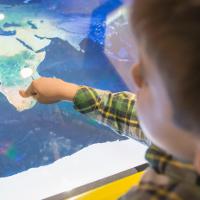 Illustration Safari in Südafrika