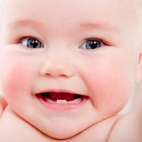 Illustration Wenn die Zähne kommen