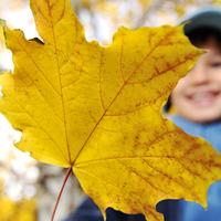 Illustration Herbstferien