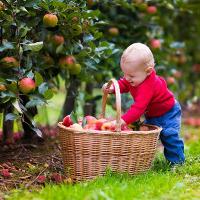 Illustration Ein kindersicherer Garten