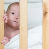 Illustration Schlafparadies für den Nachwuchs