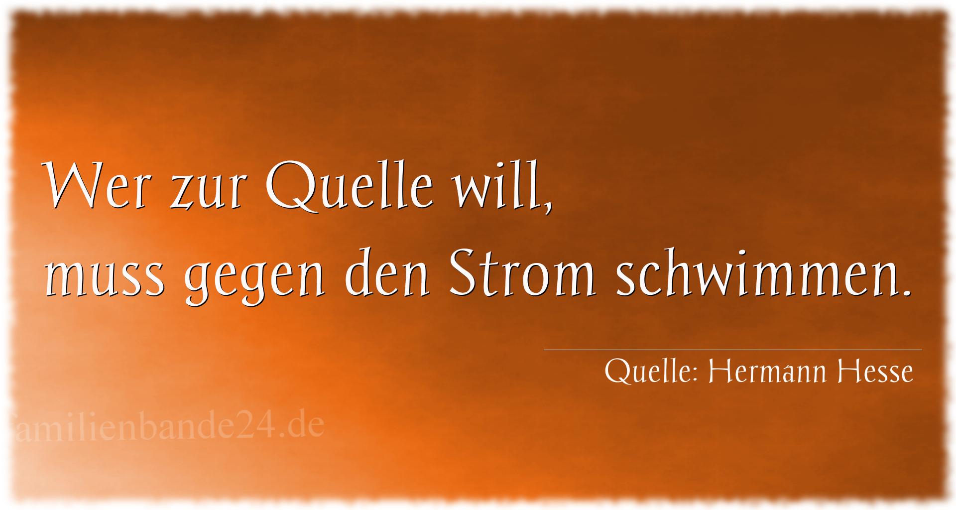 Aphorismus Nr. 1202 (von Hermann Hesse): "Wer zur Quelle will, muss gegen den Strom schwimmen." 