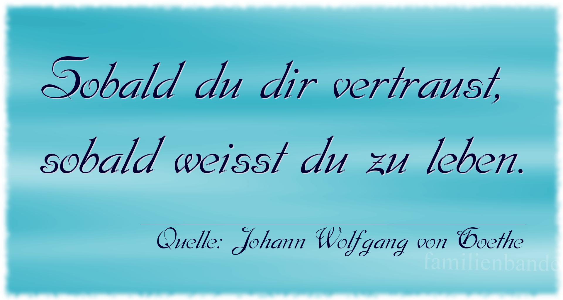 Aphorismus Nummer 1348 (von Johann Wolfgang von Goethe): "Sobald du dir vertraust, sobald weißt du zu leben." 