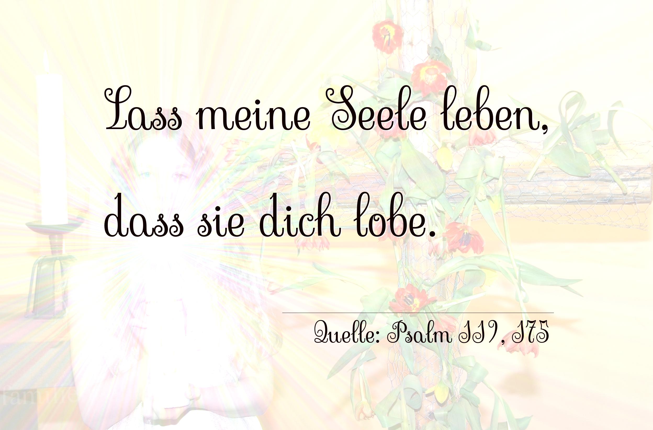 Taufspruch Nummer 241 (von Psalm 119, 175): Laß meine Seele leben, daß sie dich lobe. 