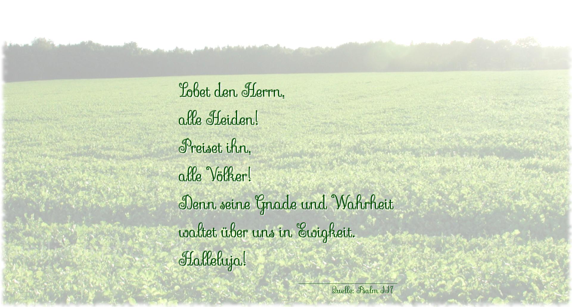 Thumbnail  zu Taufspruch  No. 272  (von Psalm 117)