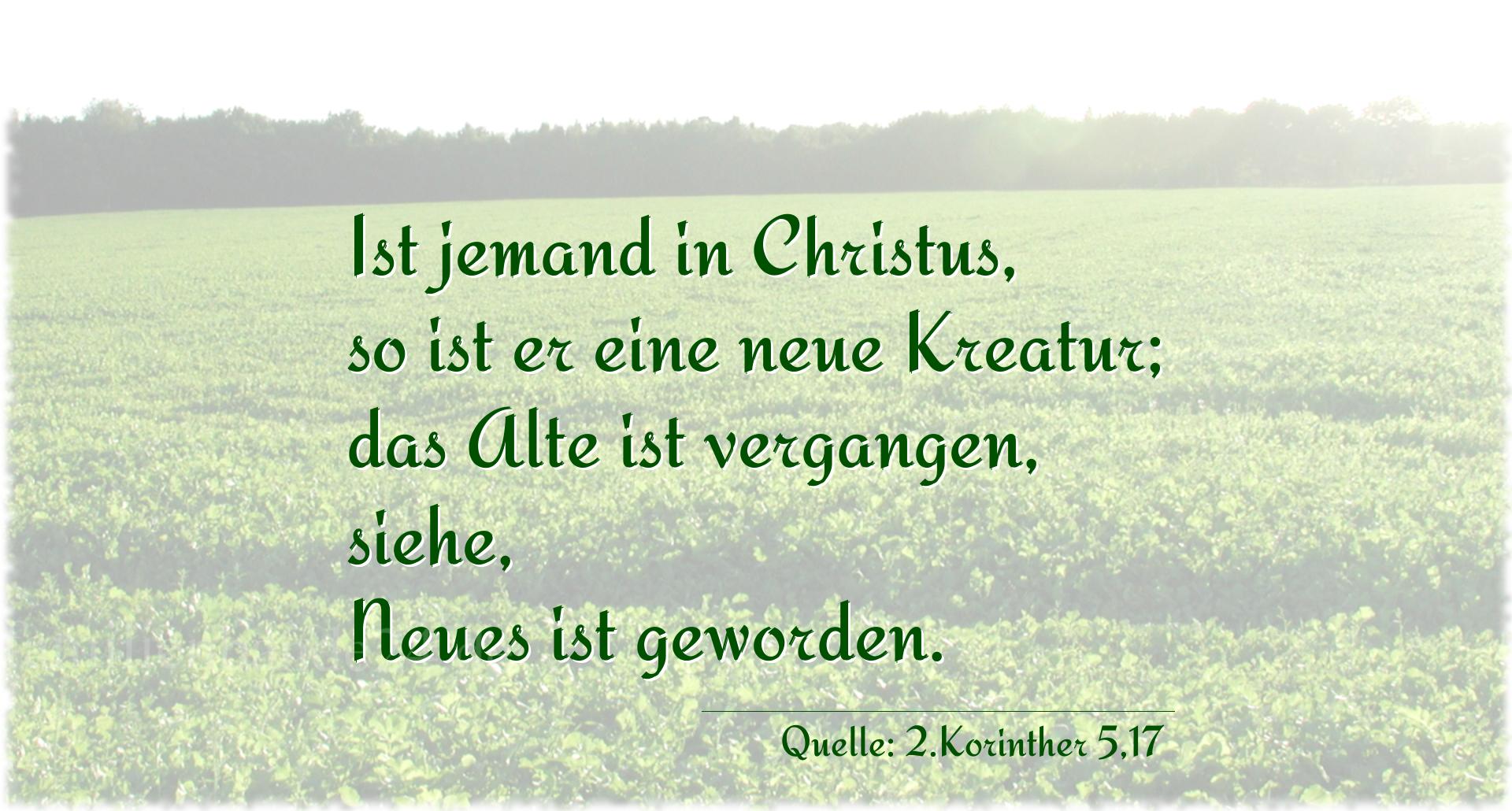 Taufspruch Nr. 308 (von 2.Korinther 5,17): Ist jemand in Christus, so ist er eine neue Kreatur; das A [...]